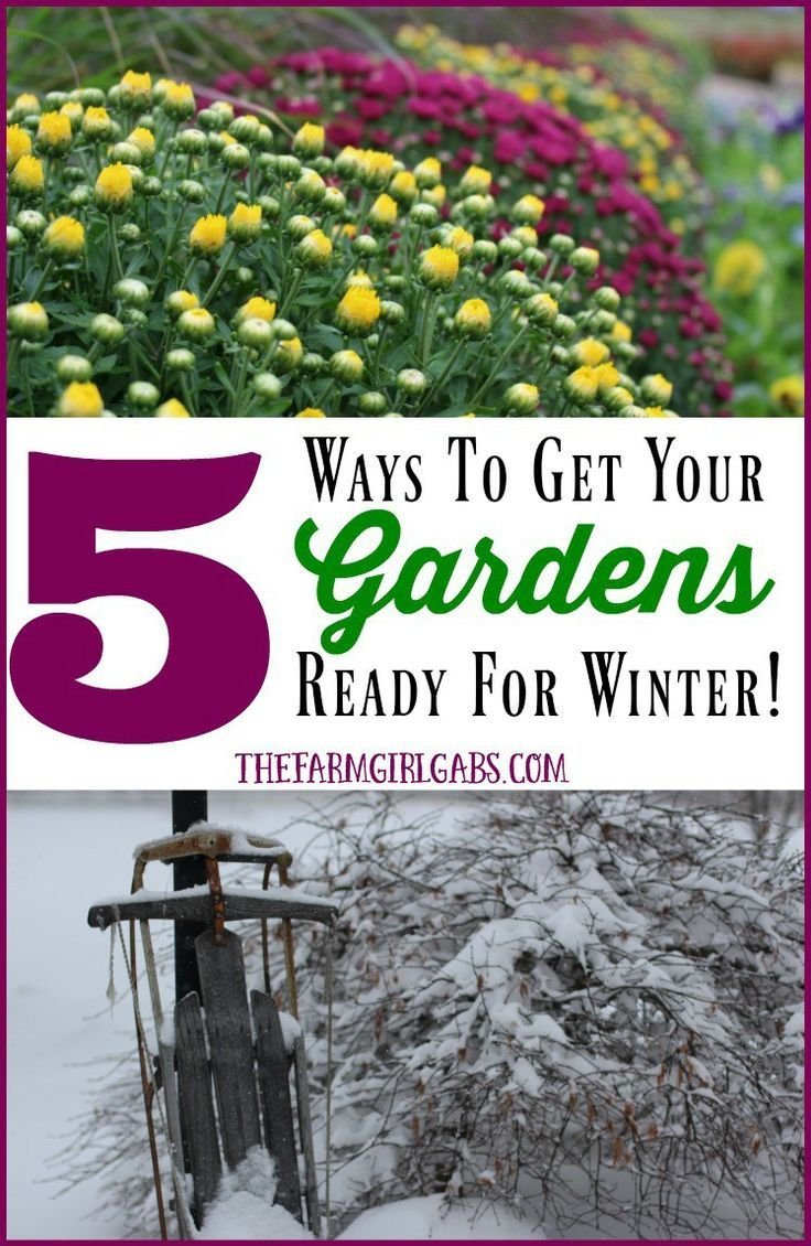 5 ways to get your gardens ready for winter | home: where the heart