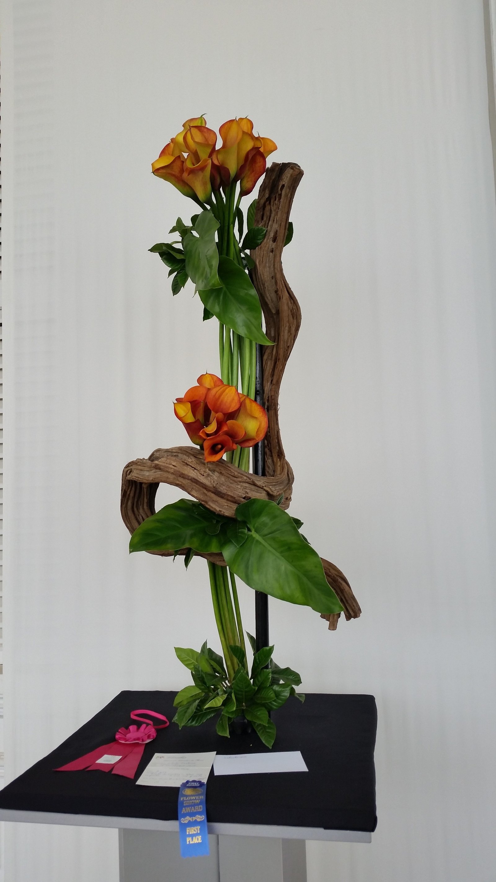 50 years of floralies, a standard flower show in lima, peru
