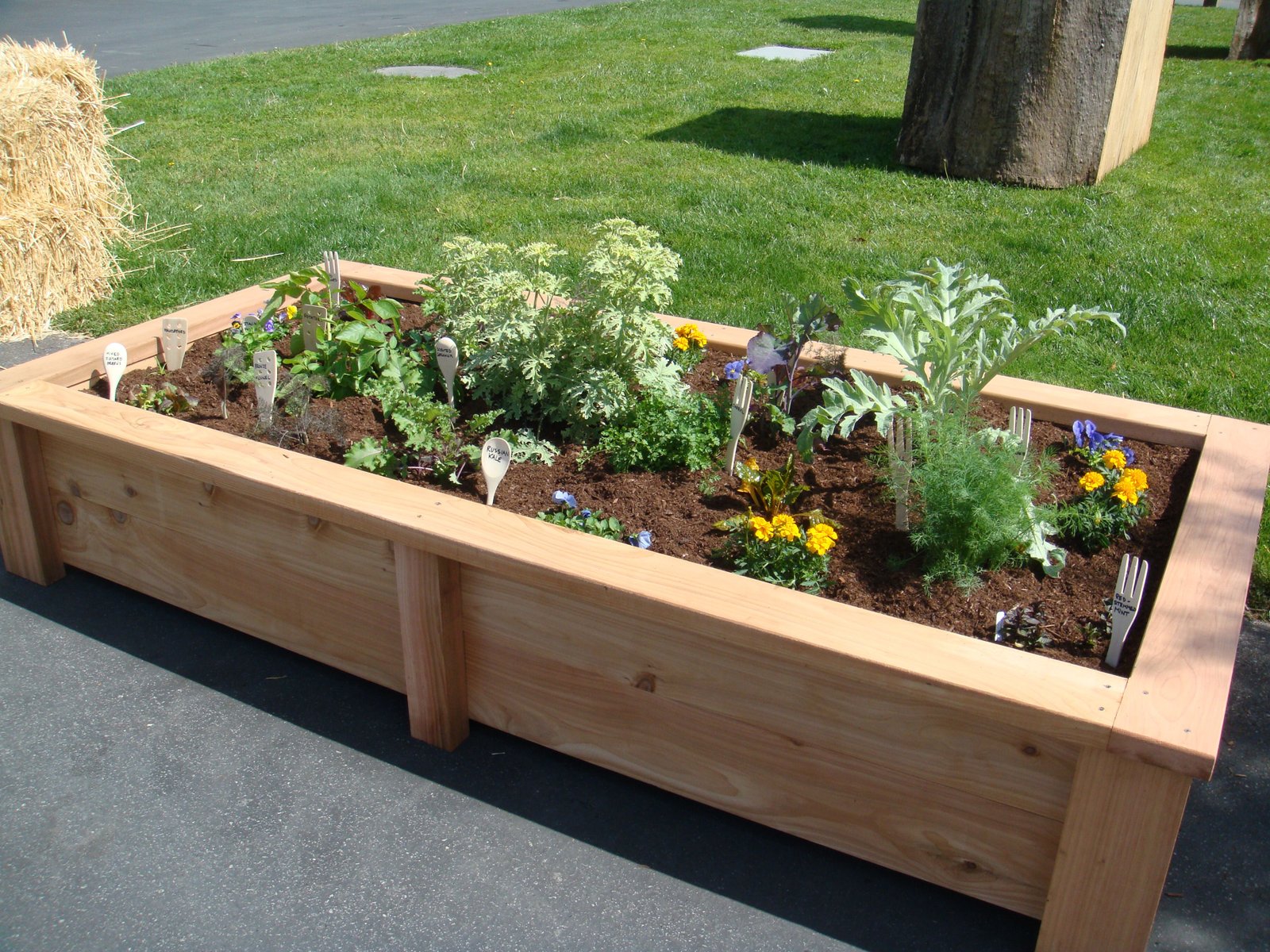 the san francisco flower and garden show- container drama | flower