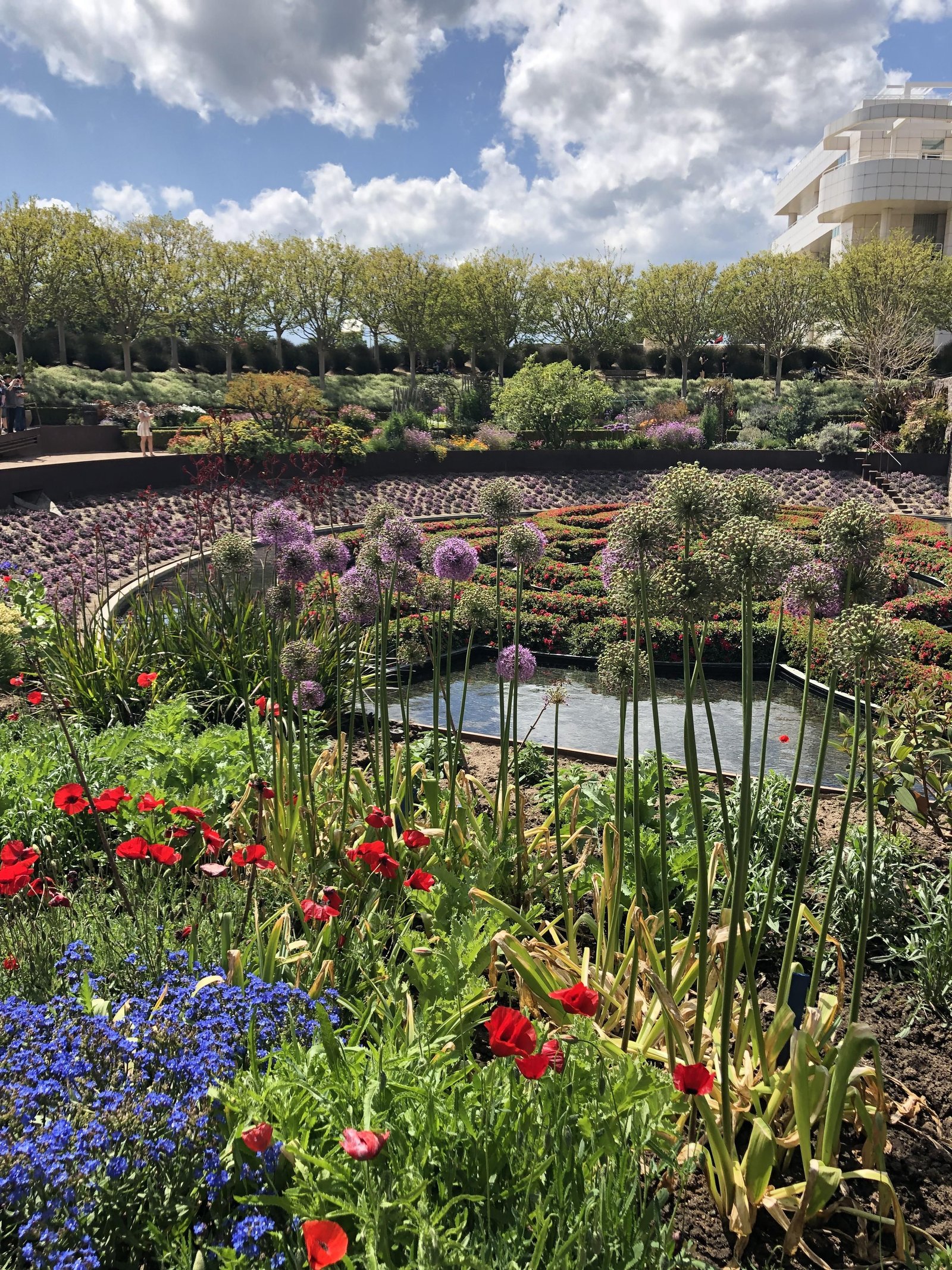 the getty gardens in los angeles ca #gardening #garden #diy #home