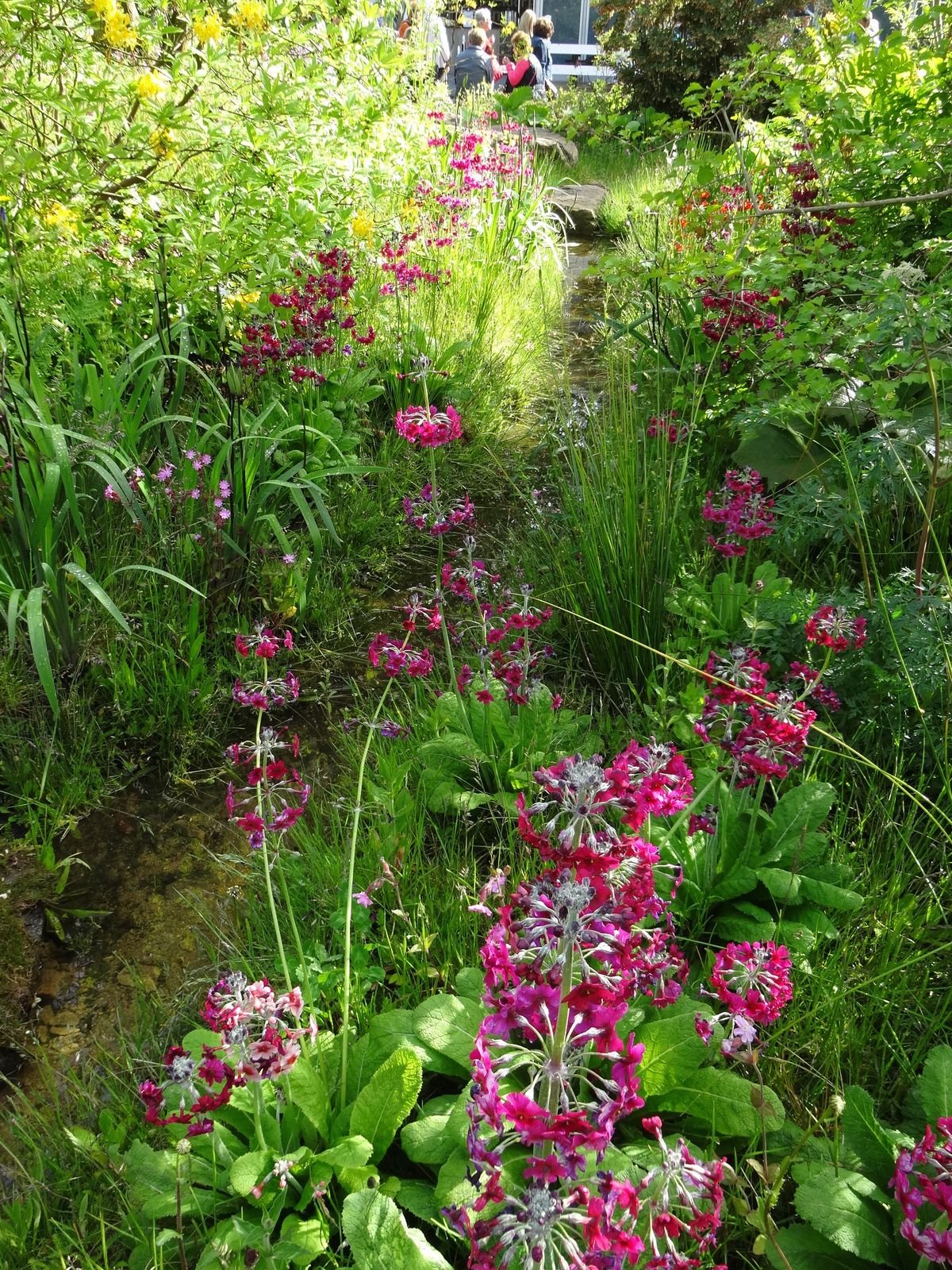 the laurent-perrier chatsworth garden by dan pearson | garden