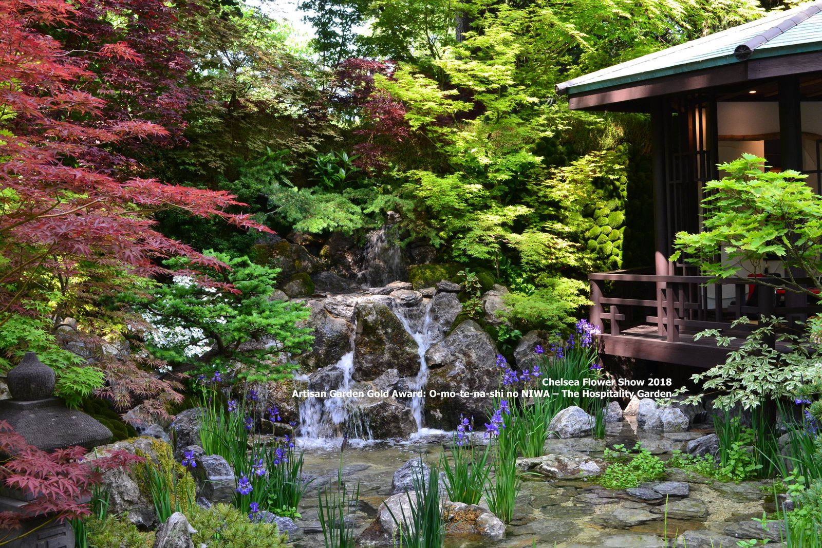 japanese hospitality garden, rhs chelsea flower show may 2018