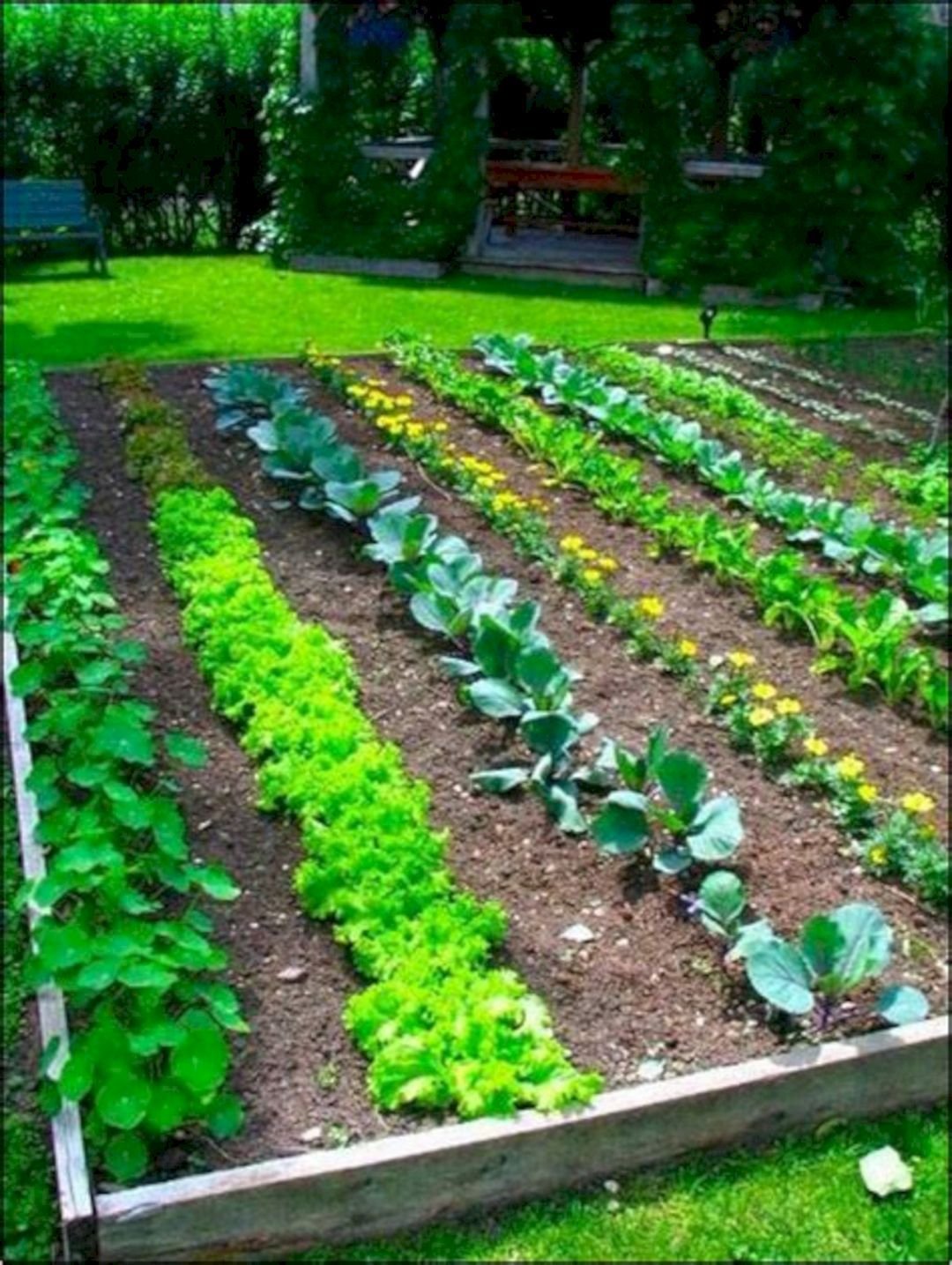 10+ easy vegetable garden layout ideas for beginner | green thumb