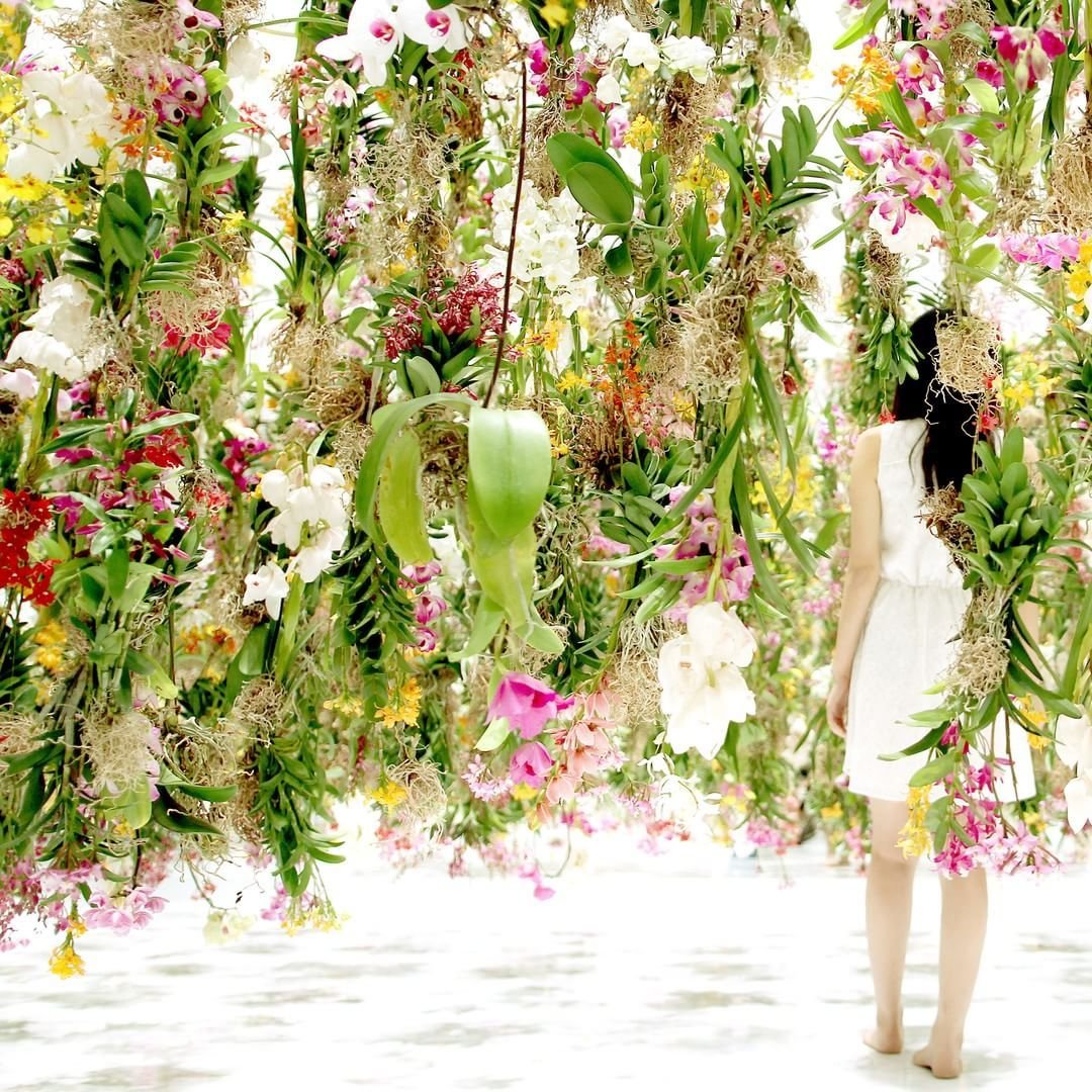 the floating flower garden is a project by japanese studio teamlab
