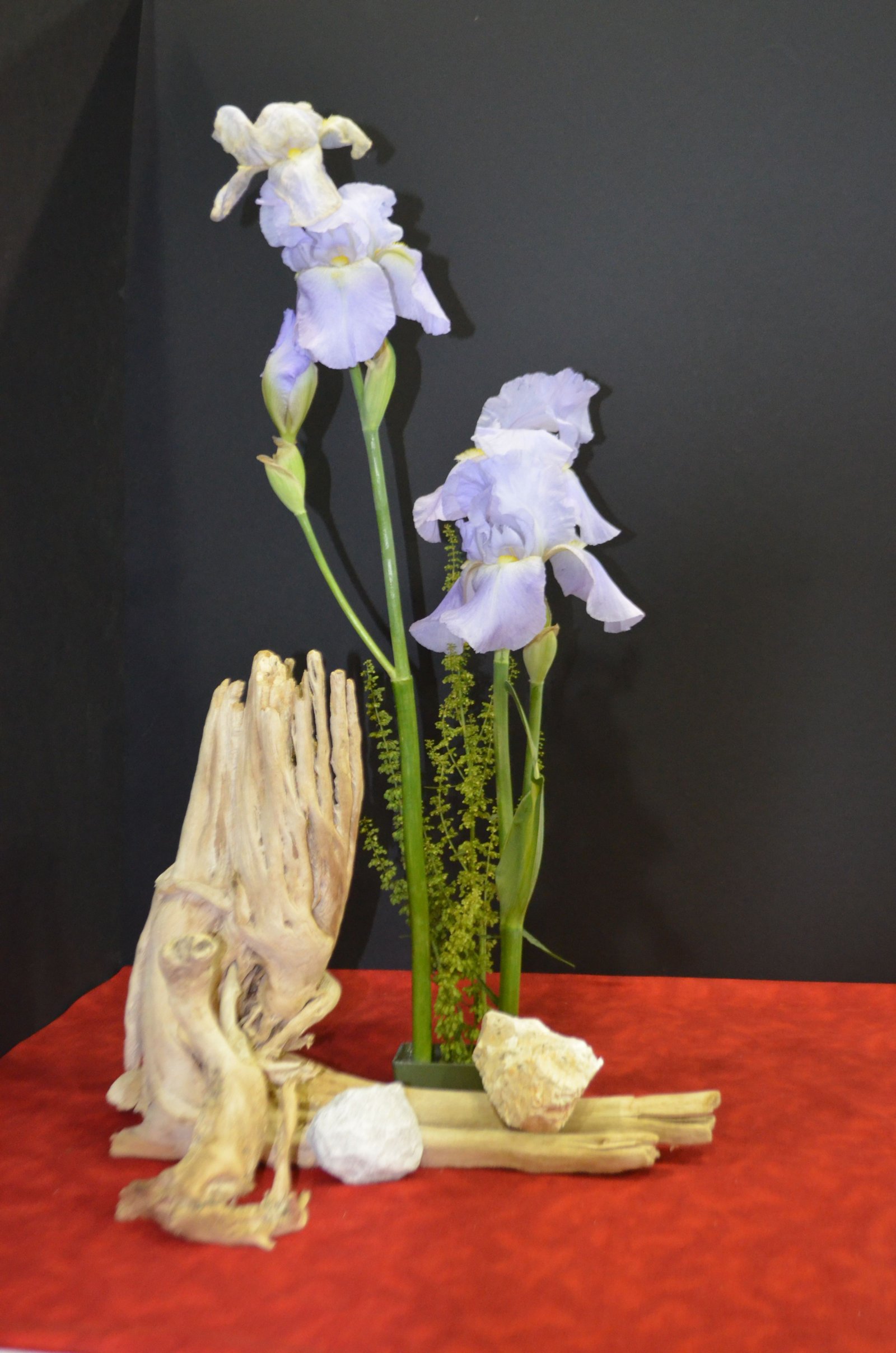 designer's choice exhibit. standard flower show. north end council