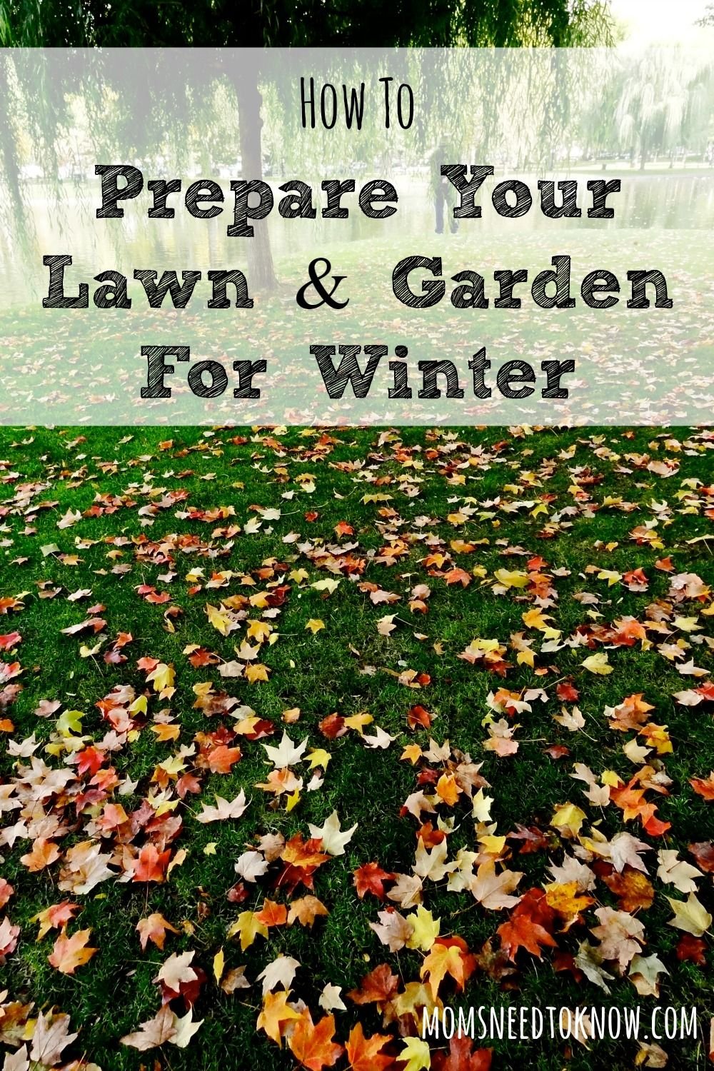 how to prepare your lawn and garden for winter | food, family, home