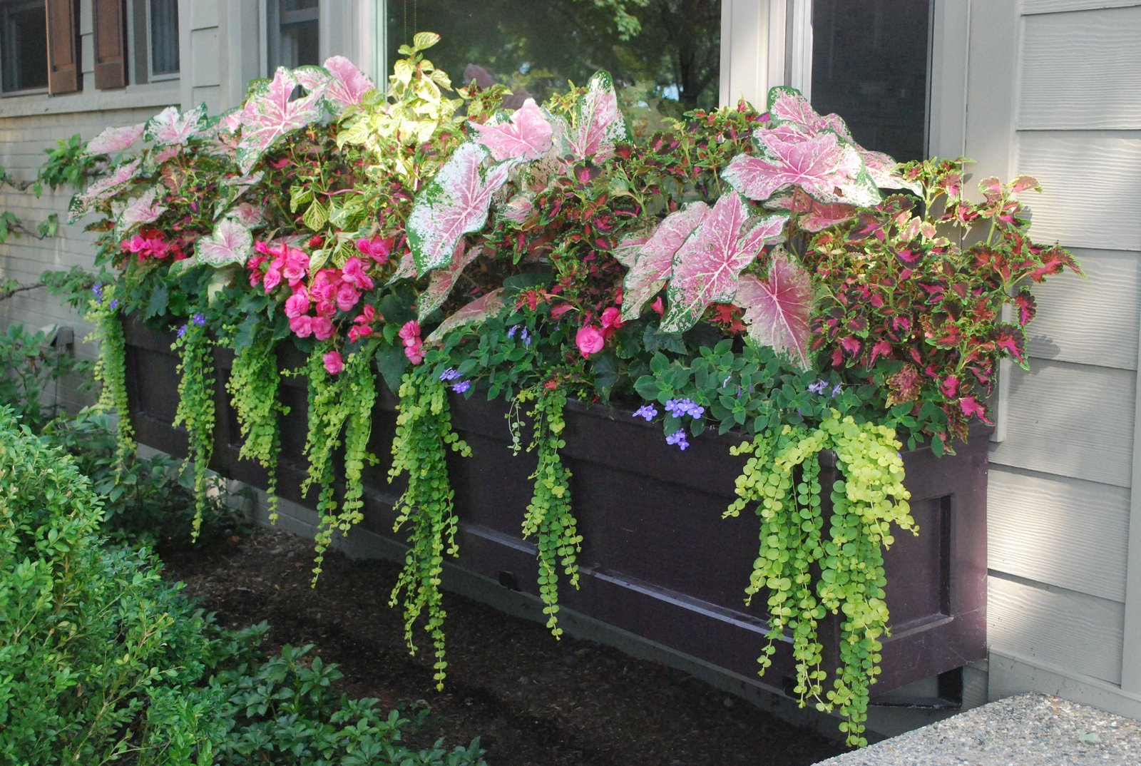 shade tolerant annuals | dirt simple-----beautiful arrangement