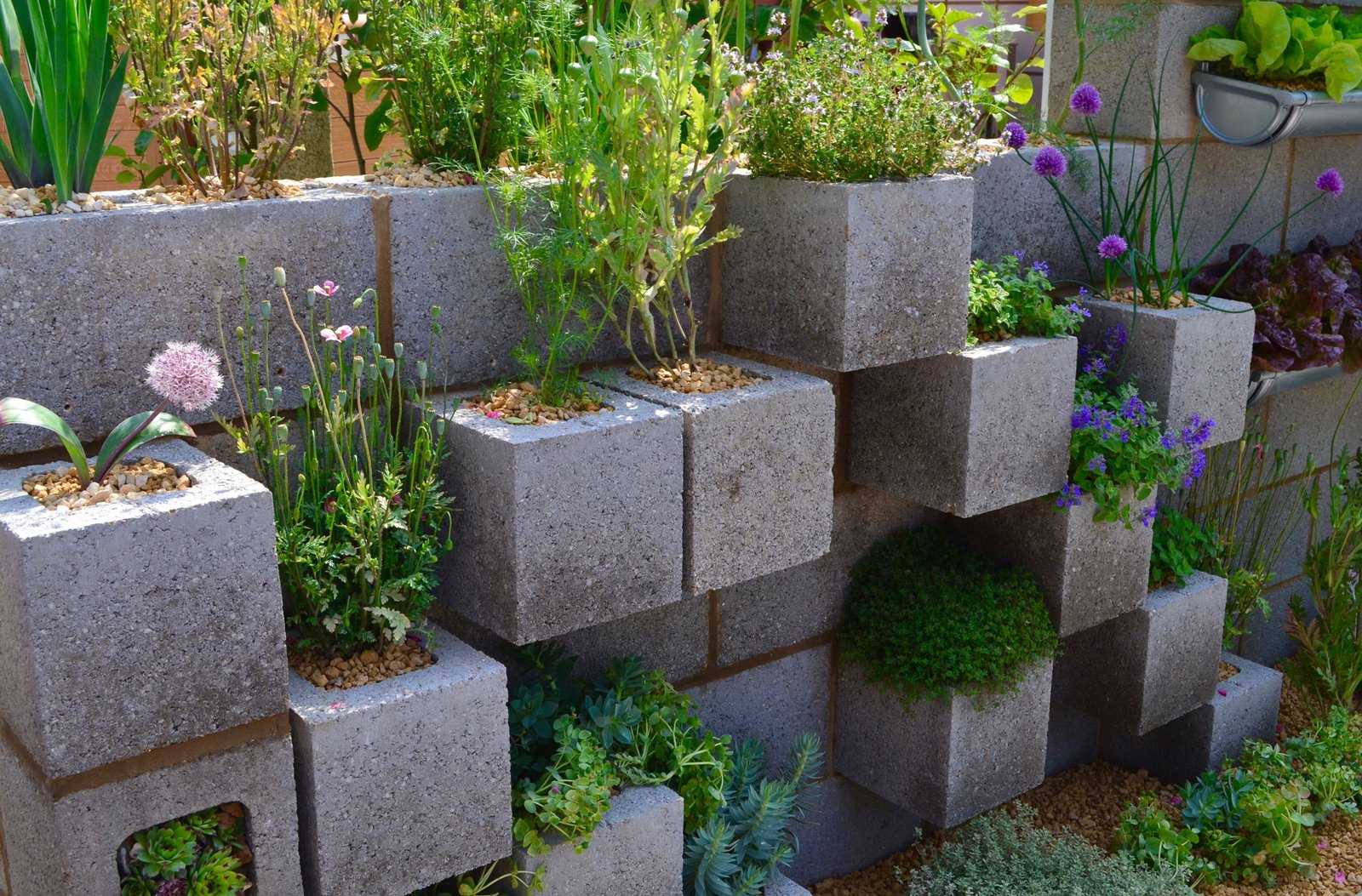 lemon tree trust garden, rhs chelsea flower show may 2018 | garden