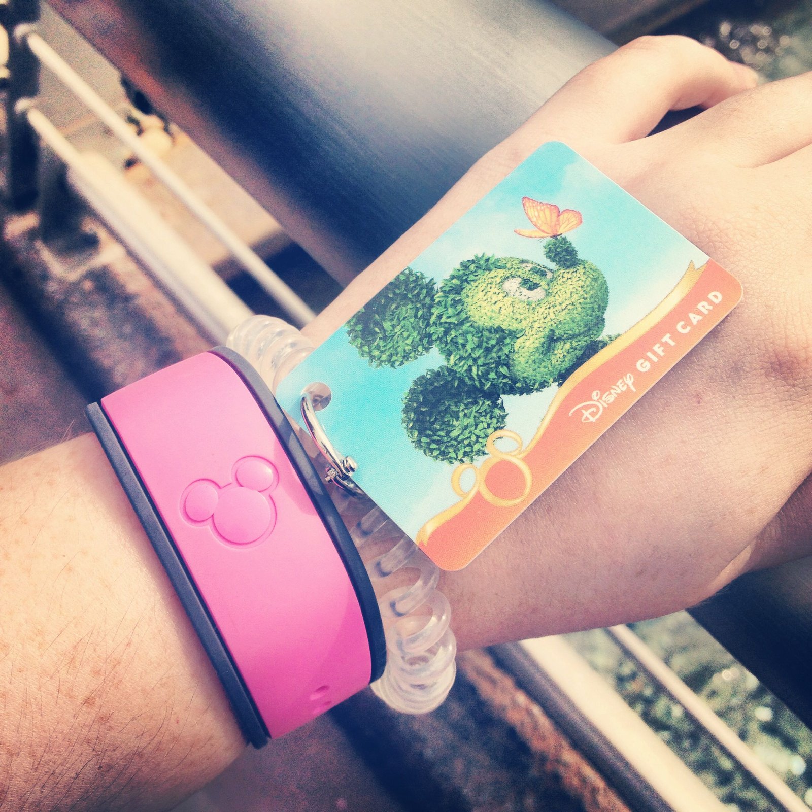 magic band and gift card for flower and garden festival. follow me