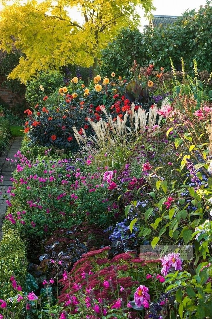 judy's cottage garden: the best perennial plants for cottage gardens