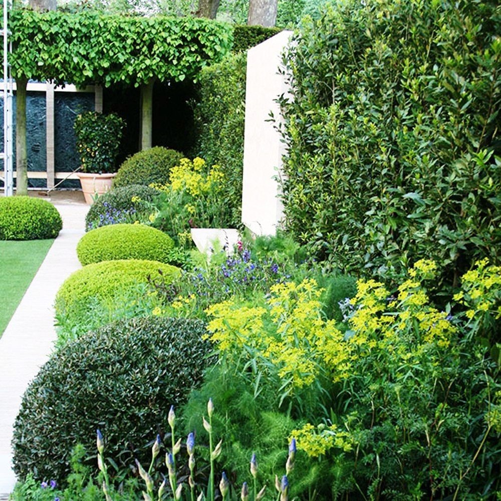 at the chelsea flower show 2014, the gold medal winning daily