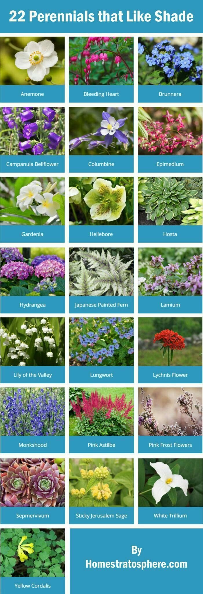 101 perennials that do well in shade (a to z) | let it grow! | shade