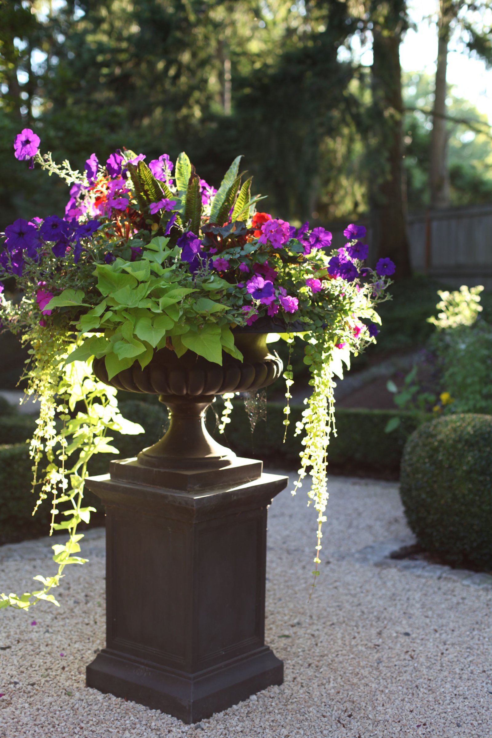 magnificent french garden containerhow lovely! | glorious
