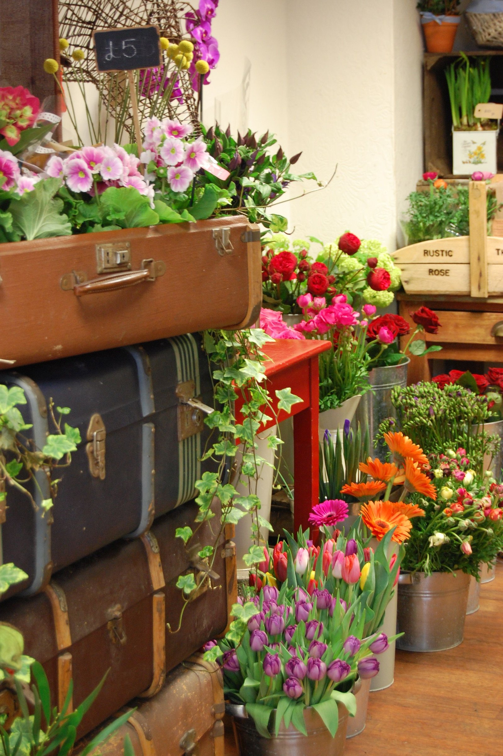 rustic rose shop in england … | greenhouses | flowe…
