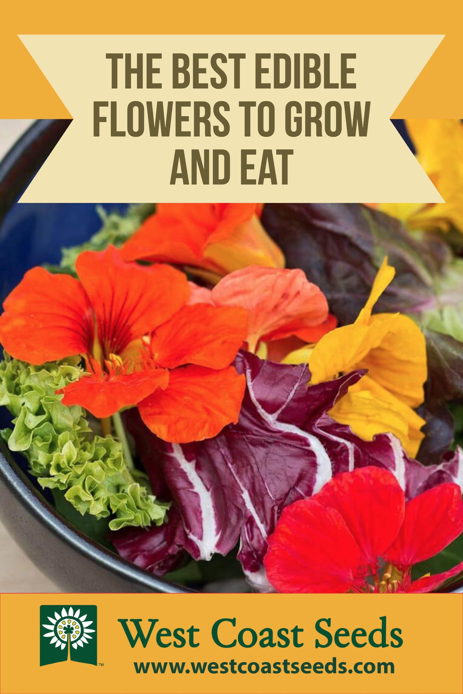 list of edible flowers | garden ideas | vegetable garden, organic