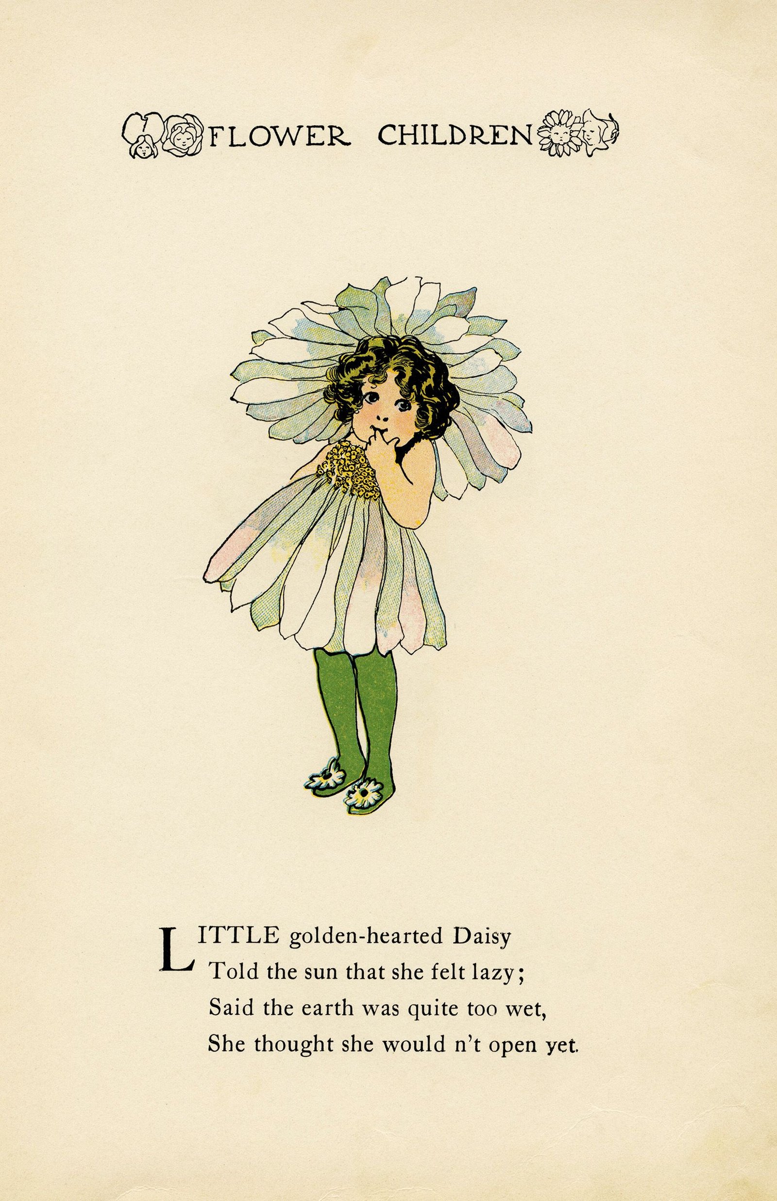 daisy flower child, elizabeth gordon, old book page, vintage flower