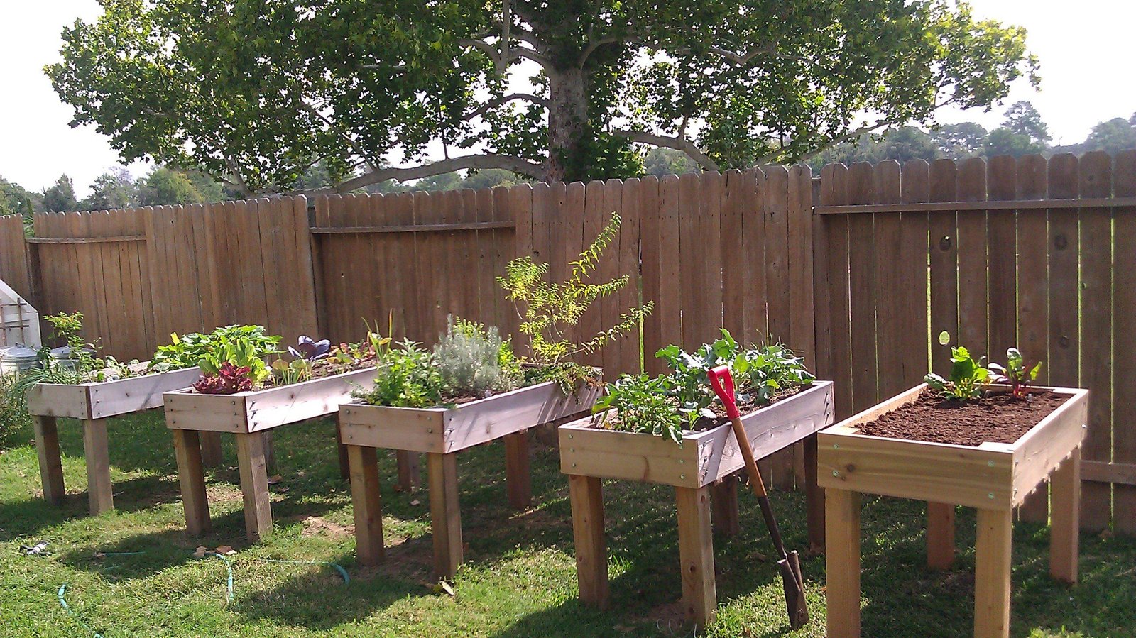 furniture-creative-diy-backyard-vegetable-garden-house-design-using