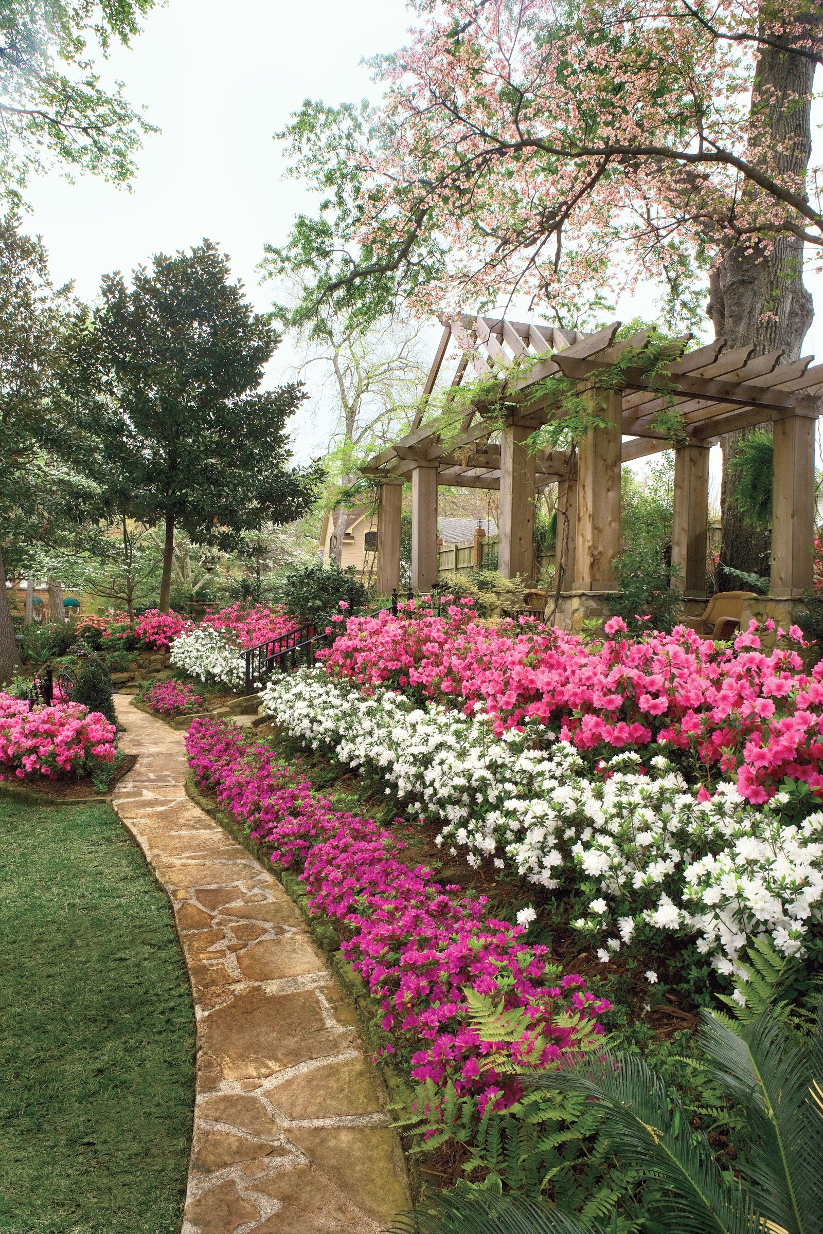 guy and joan pyron's azalea garden | gardens, landscaping and