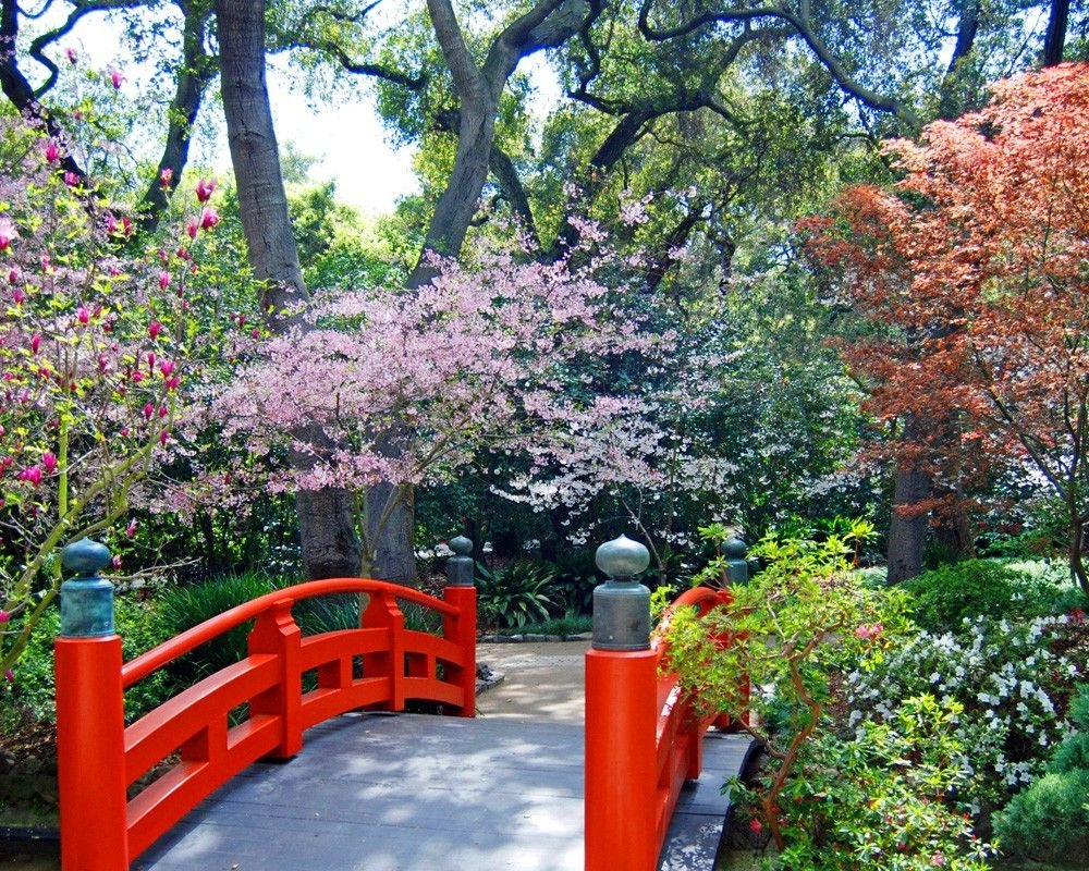 japanese tea house and garden, descanso gardens, la canada