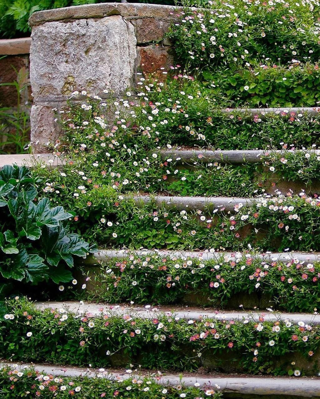 25+ unique lawn-edging ideas to totally transform your