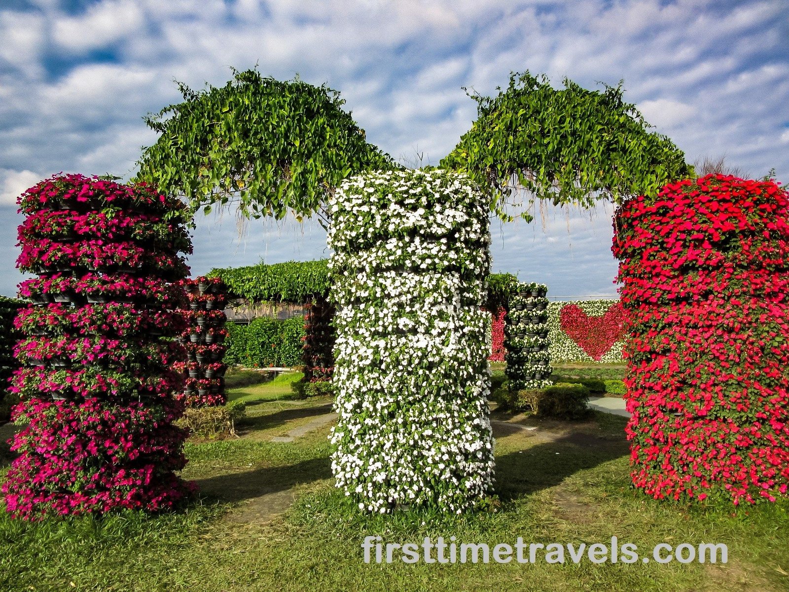 first-time in zhongshe flower market | first-time travels | first