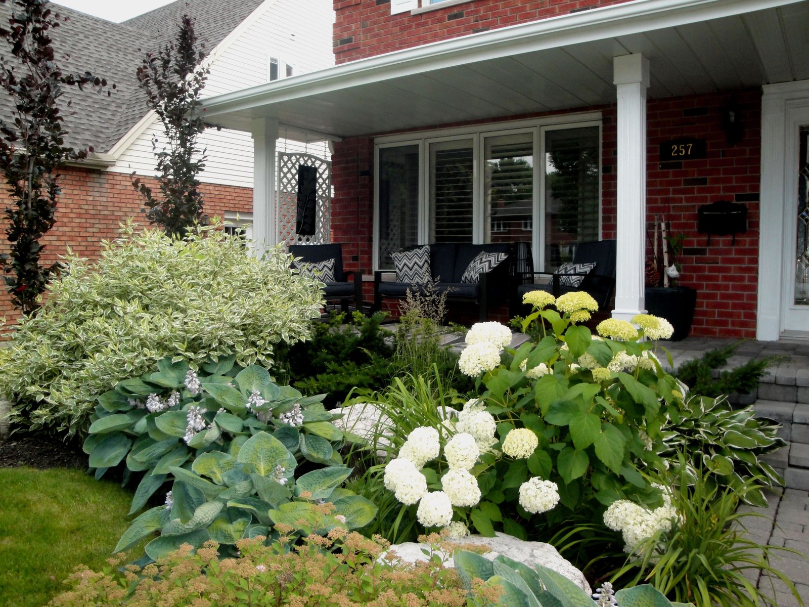 hydrangeas, ivory halo dogwood, big blue hostas, pink spiaea's, and