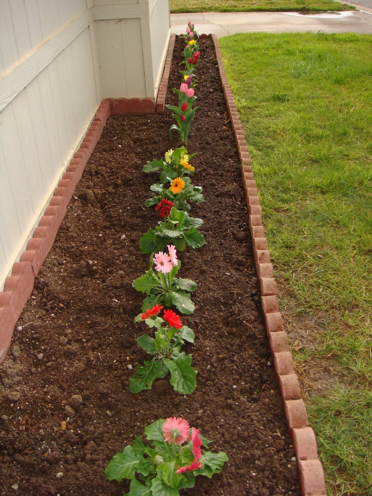 charming small backyard flower gardens photo design ideas
