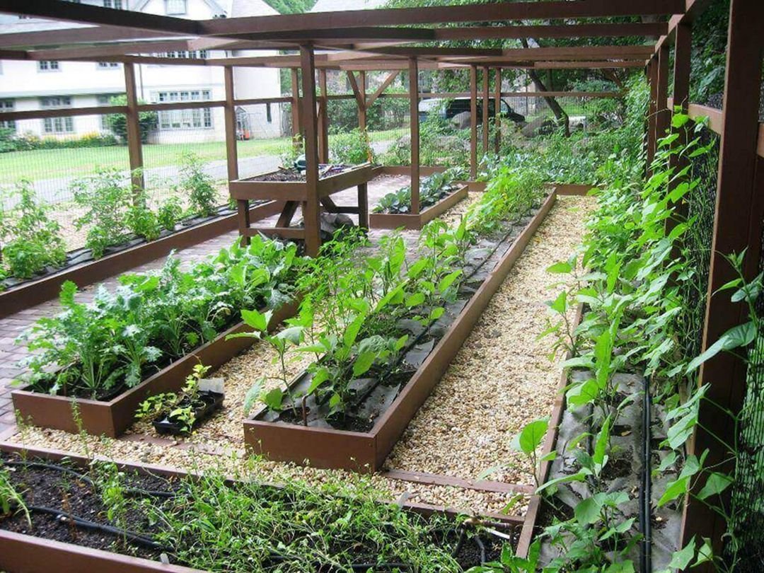 35 advantageous small vegetable garden ideas for your backyard