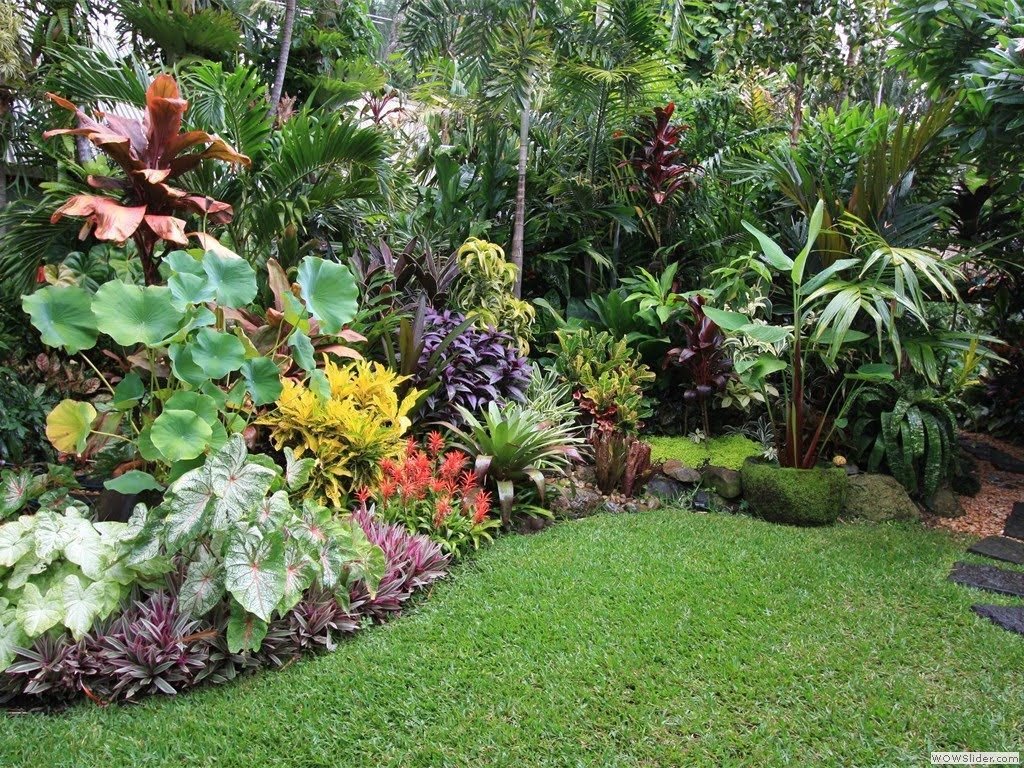 simple tropical garden design for small spaces | tropical landscapes