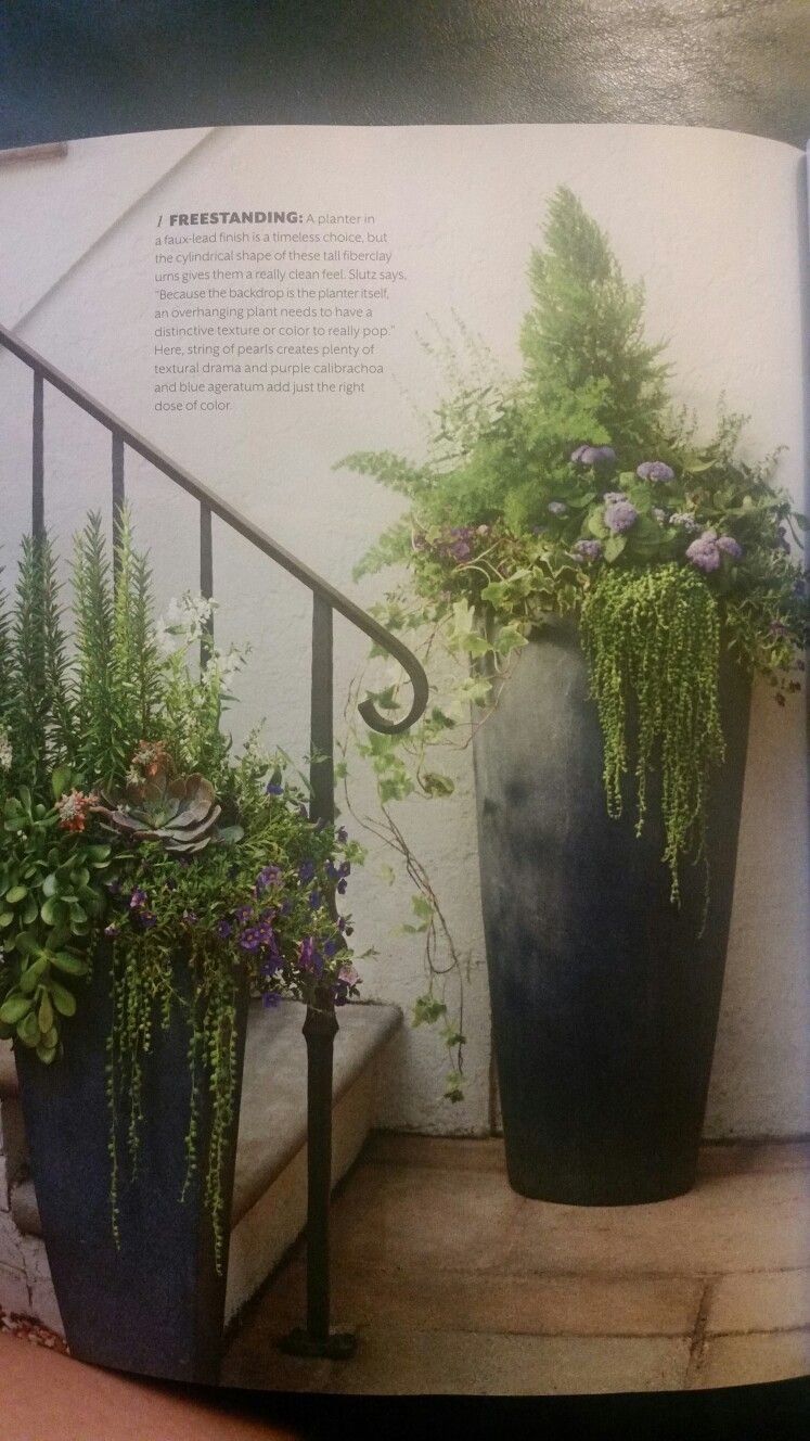 pin by tasha wilk on flower power | flower beds, garden, planters