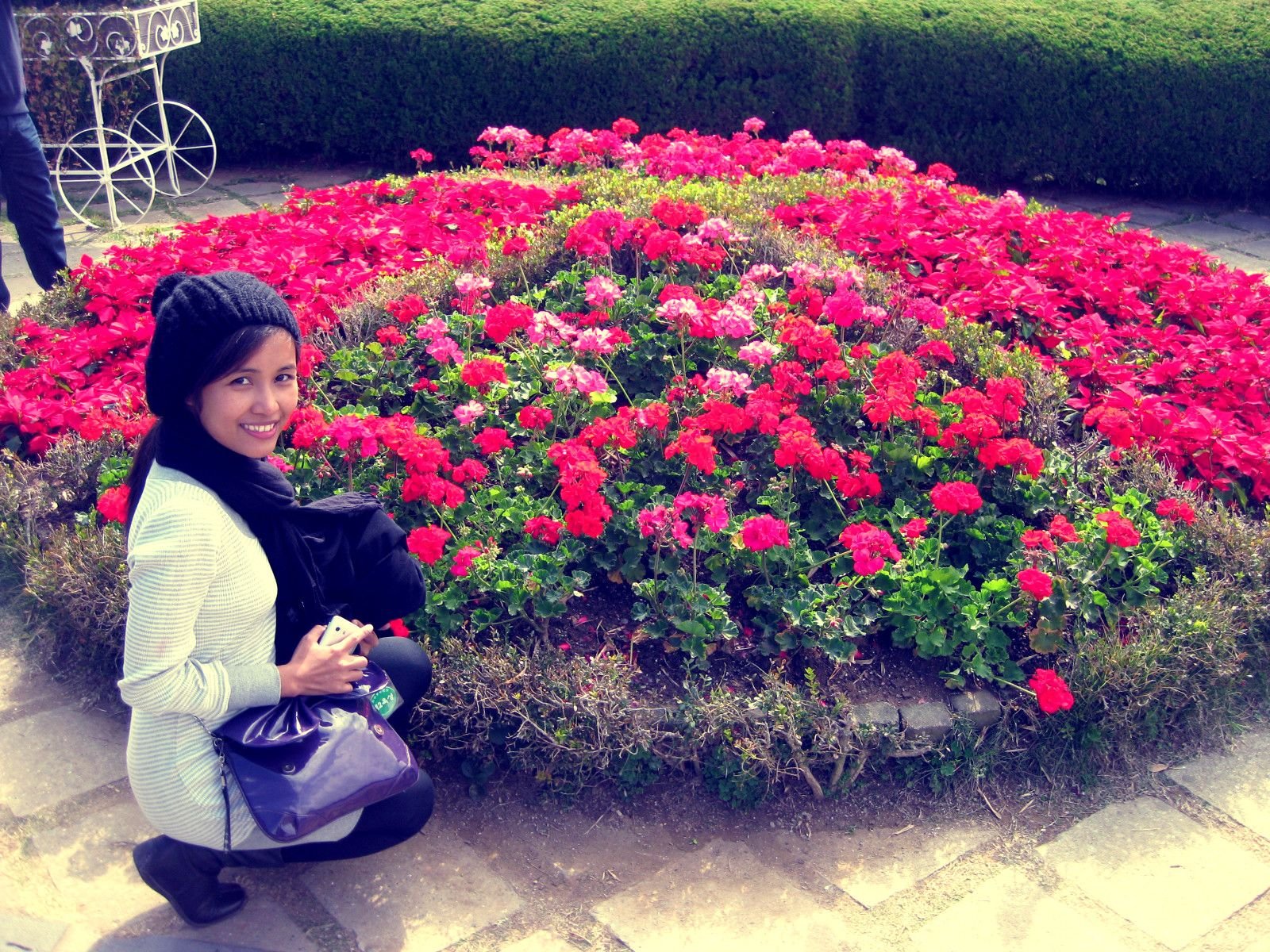 beautiful flower gardens in oedo island, busan, south korea
