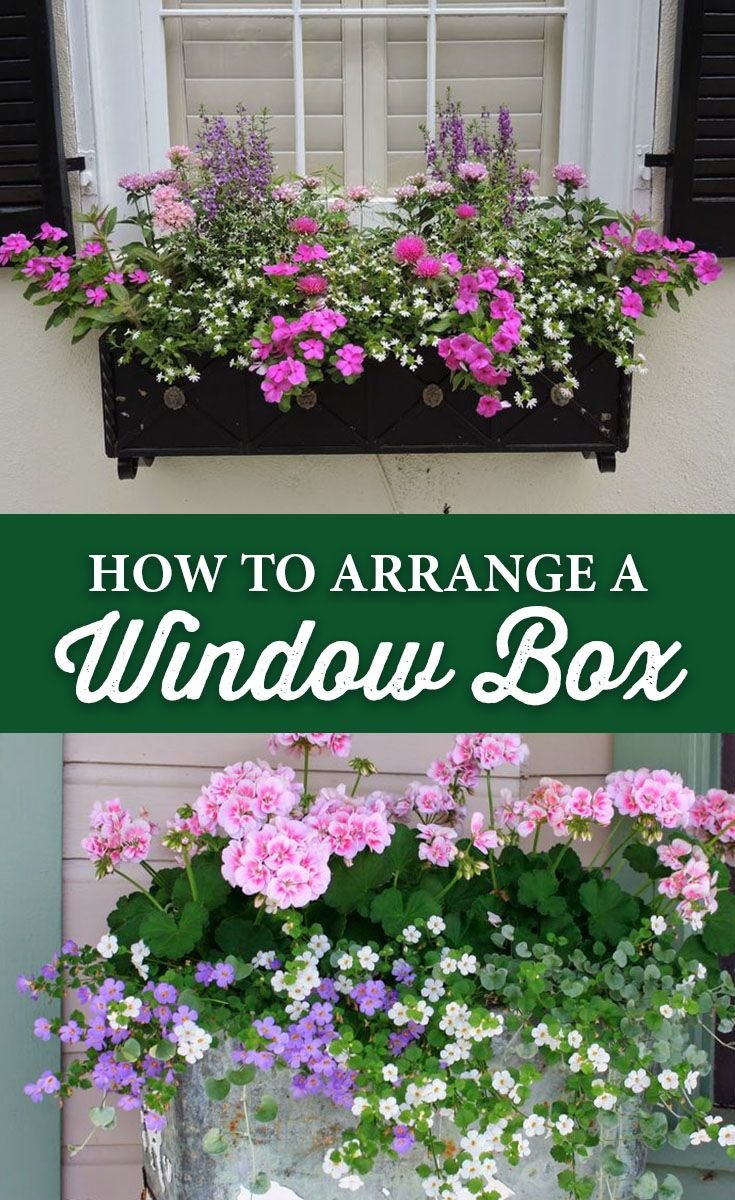 20 gorgeous window box ideas adding floral magnificence to your home