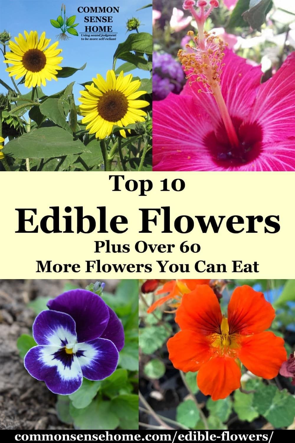 edible flowers list with edible flower names and pictures | verde