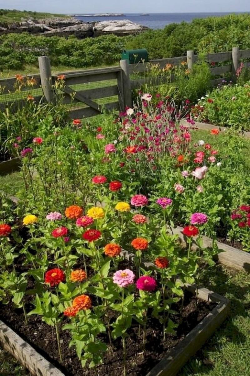 50 beautiful flower garden design ideas | best garden | beautiful
