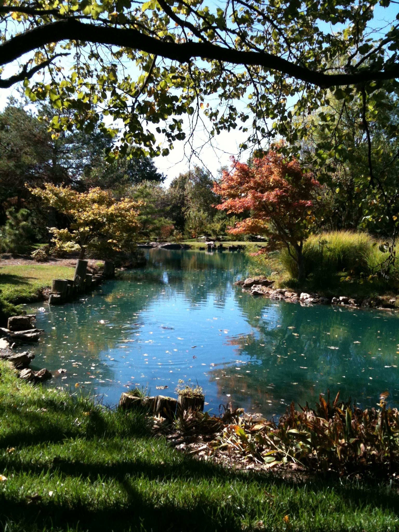 japanese stroll garden. close memorial park. springfield, mo