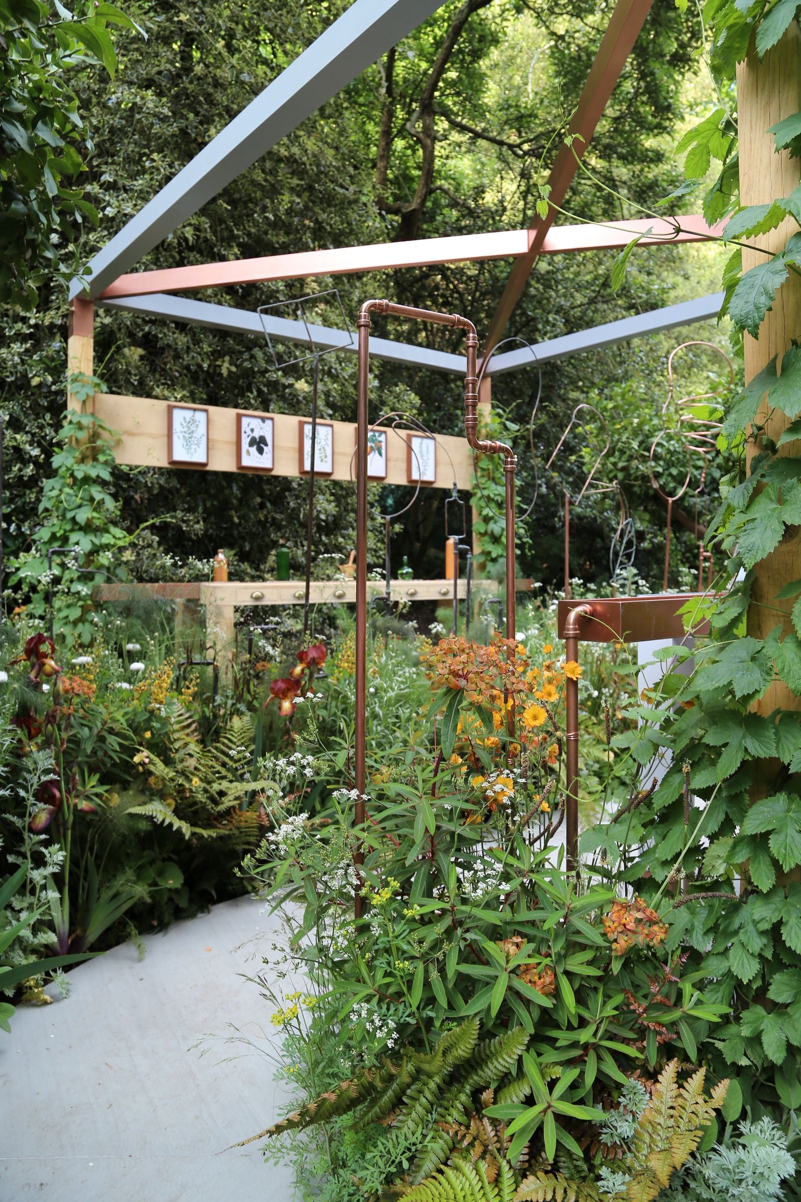 the seedlip garden, designer dr catherine macdonald, rhs chelsea