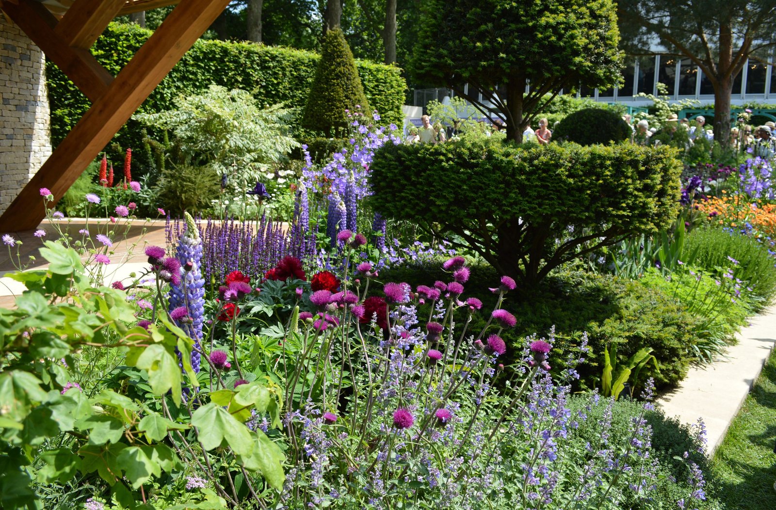 the morgan stanley garden at chelsea flower show 2017. designer