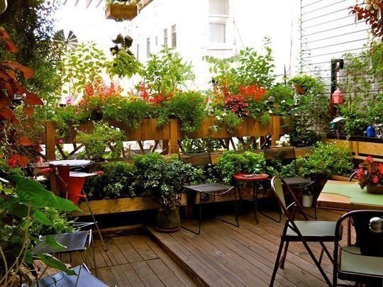 no yard? no problem: the best balcony, rooftop and patio gardens