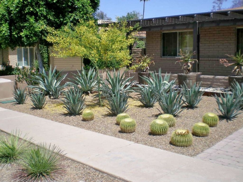 xero.pro | modern garden landscape design - phoenix, scottsdale