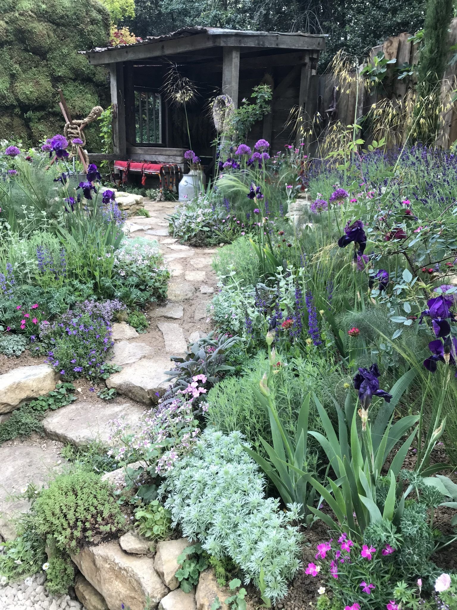 14 things at rhs chelsea flower show 2019 | jack wallington garden