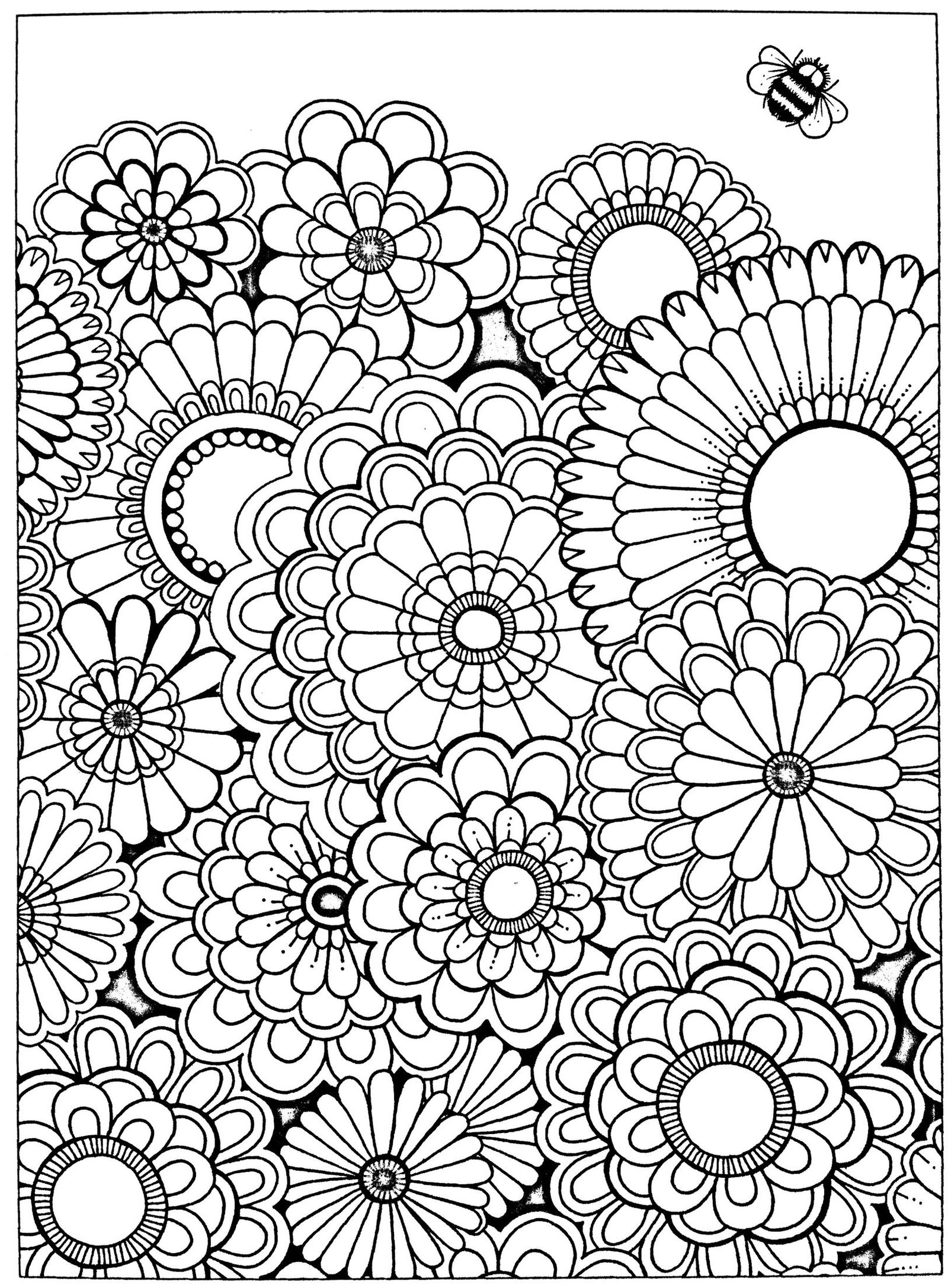 free adult coloring page secret garden | coloring-fantasy | coloring
