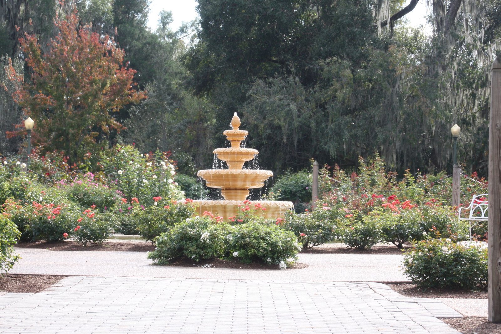 harry p. leu gardens orlando, fl | favorite places & spaces