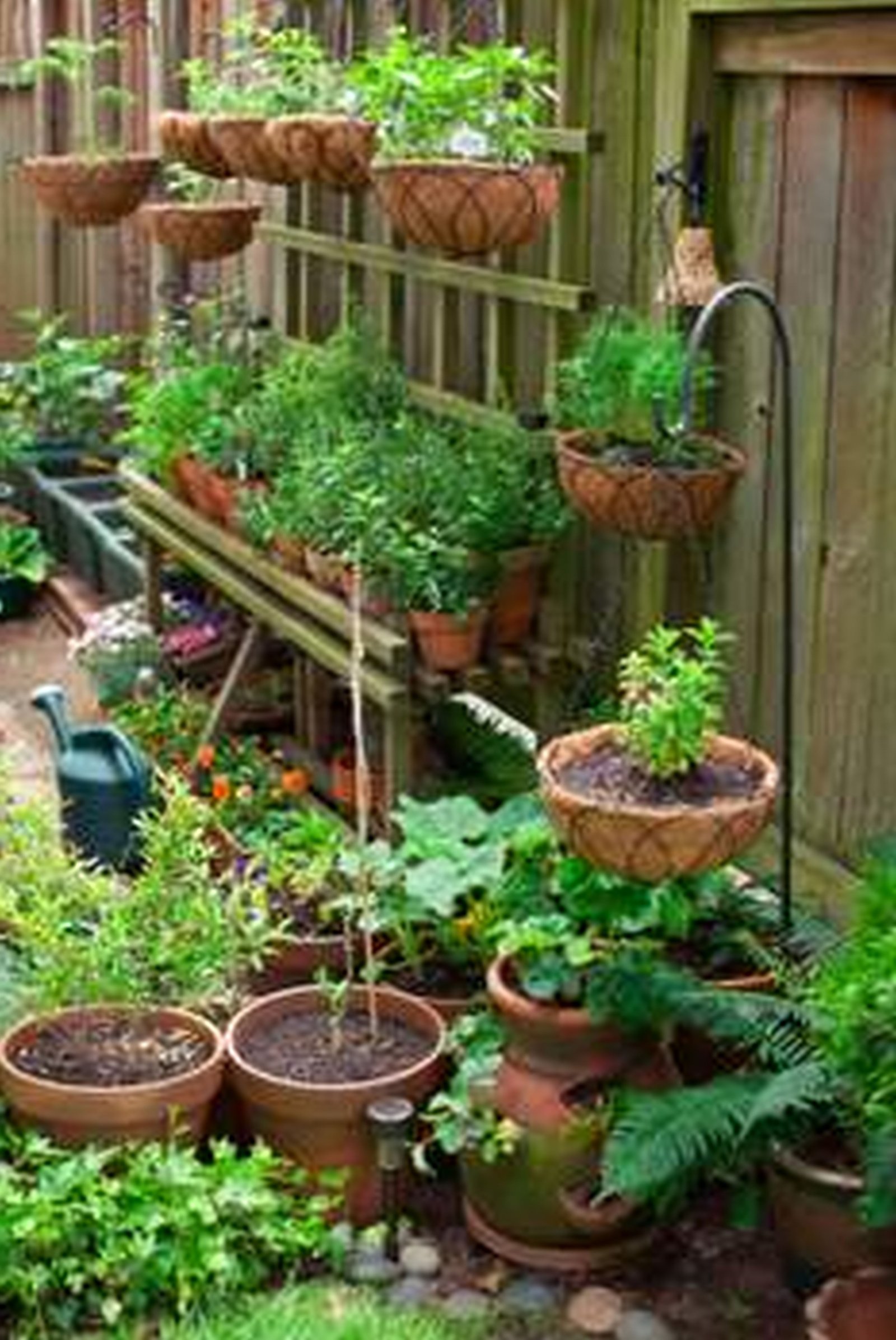 read the following tips for improving your landscaping skills