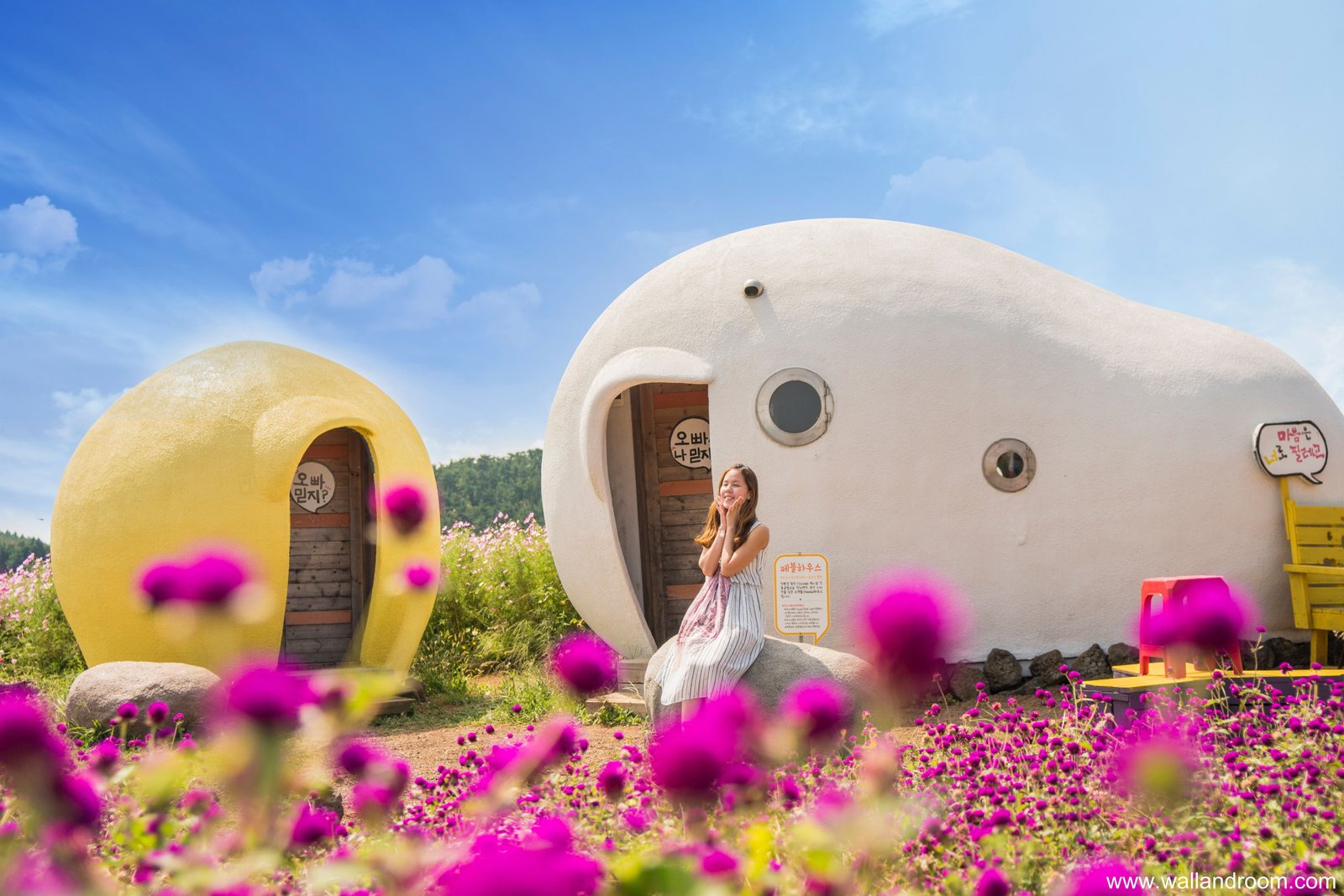 this looks like a fun place to be :-) #jejuisland #korea #fun