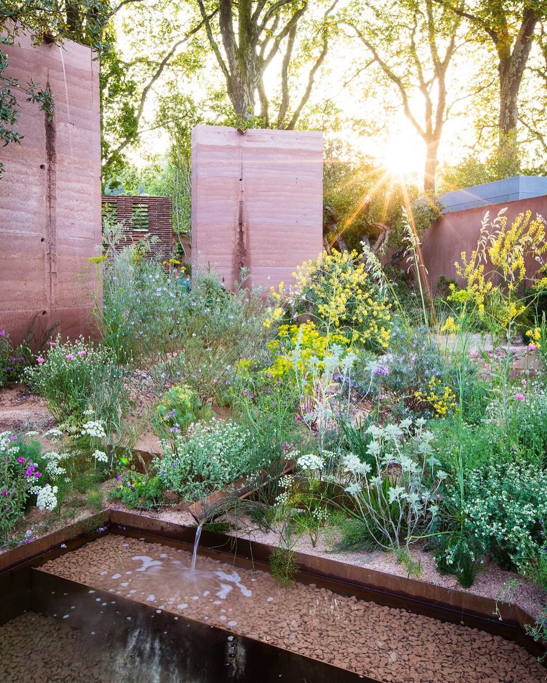 m&g show garden by sarah price | rhs chelsea flower show 2018