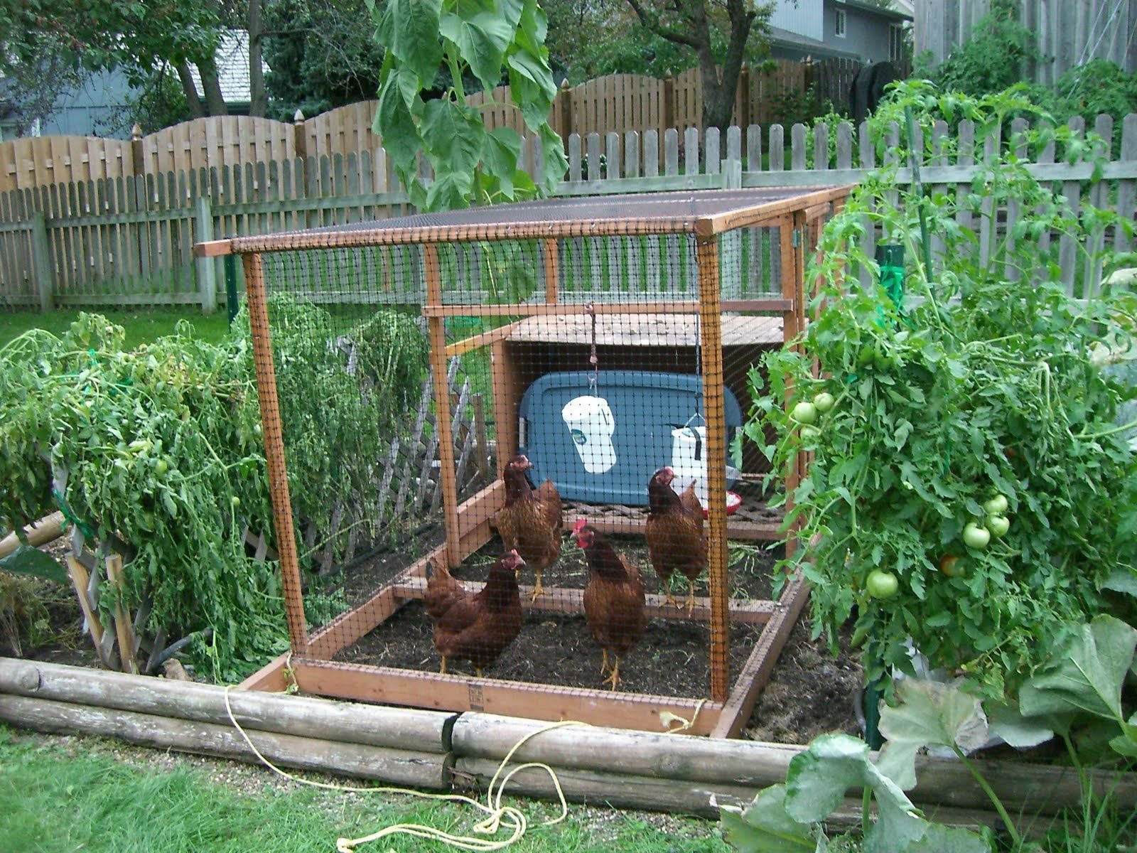 small vegetable garden ideas | backyard vegetable garden ideas