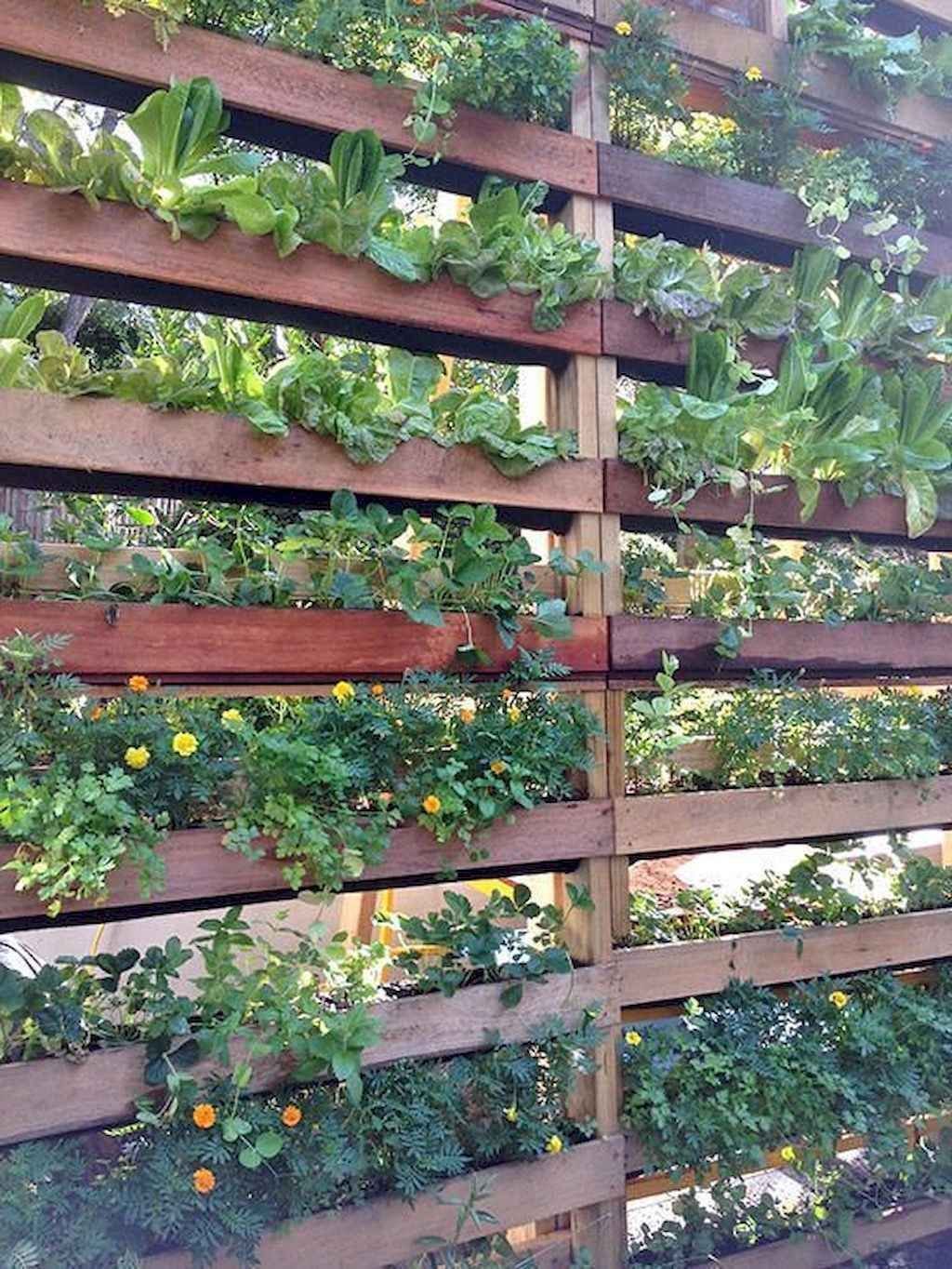 60 easy creative privacy fence design ideas #patioprivacyscreen 60 easy