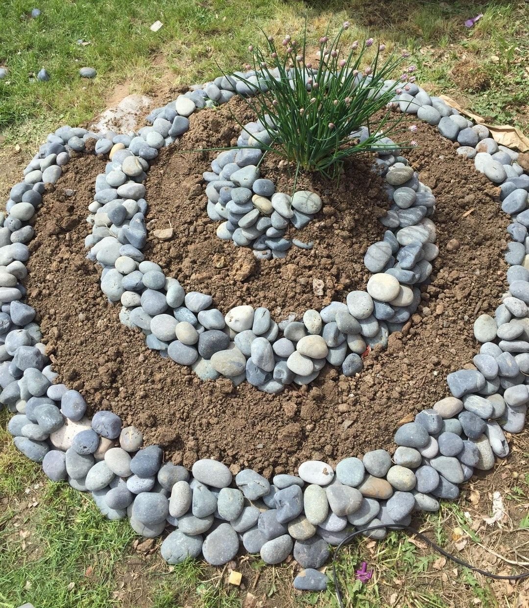 reddit: the front page of the internet | spiral garden, herb garden