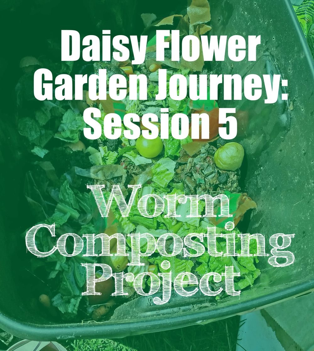daisy flower garden journey: session 5 take action project | daisies