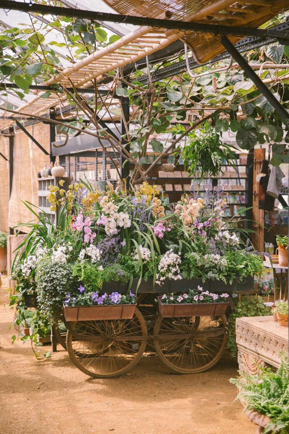 petersham nurseries, london | a r c h i t e c t u r e